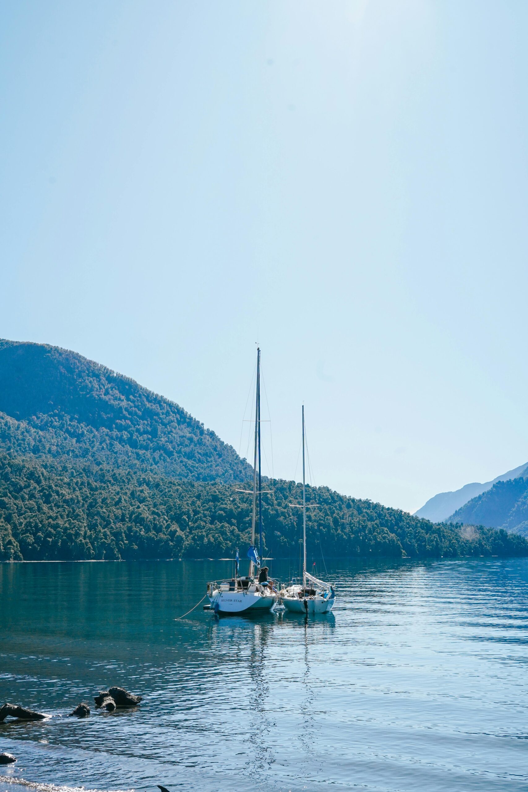 pexels-camila-tommasone-1703432-16550288