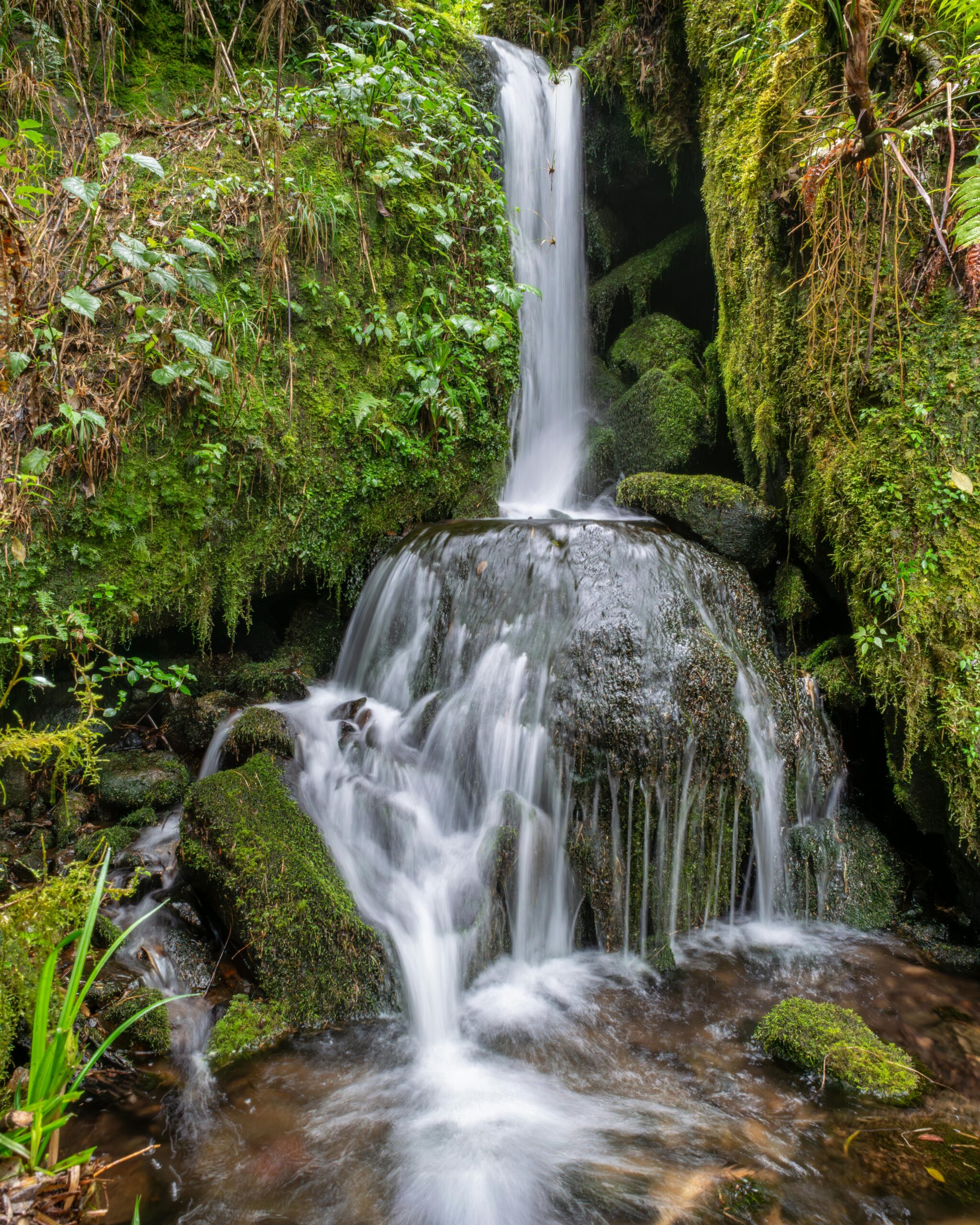 pexels-enrique-hidalgo-1230661389-34383580 (1)