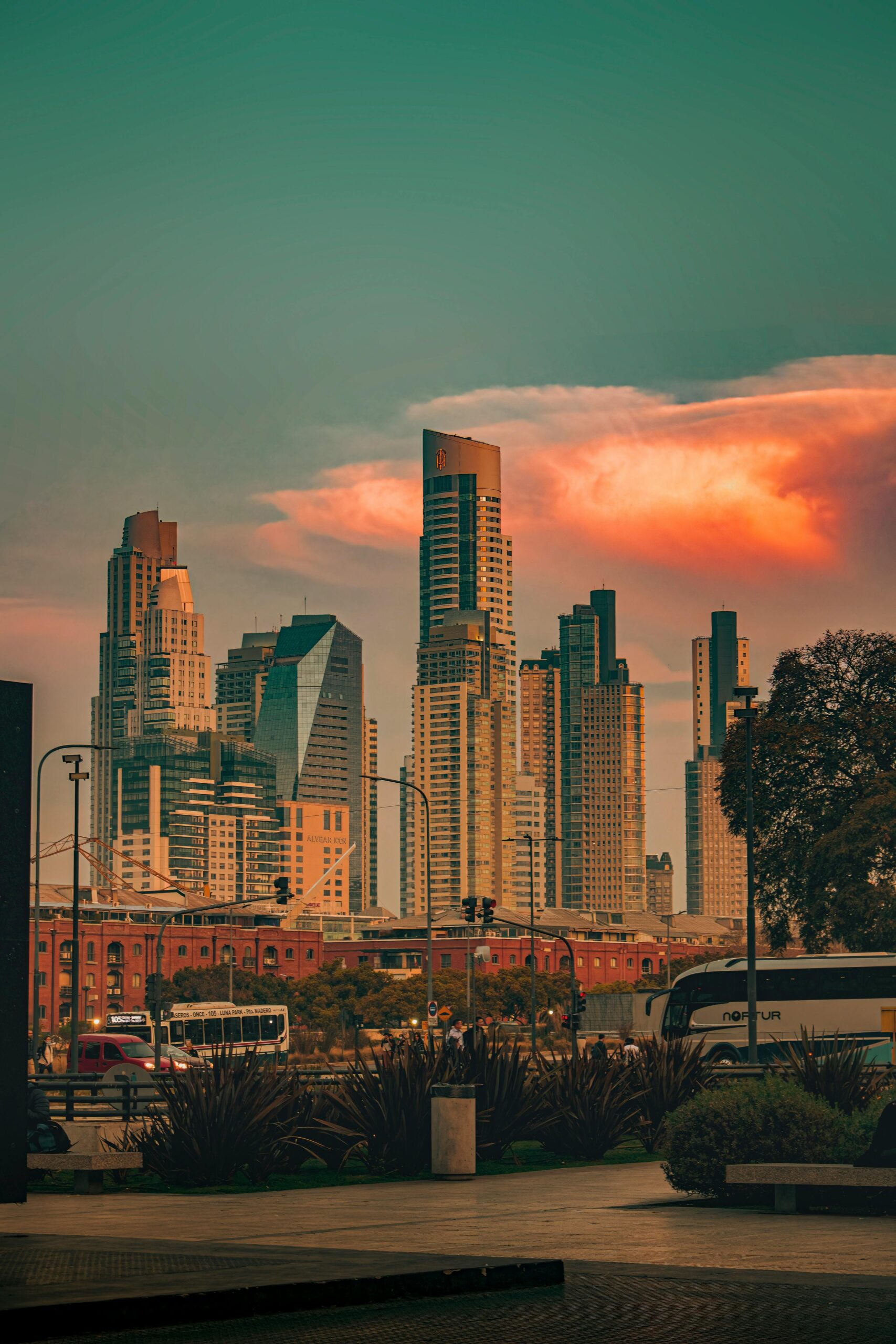 pexels-mluiseze-14459702