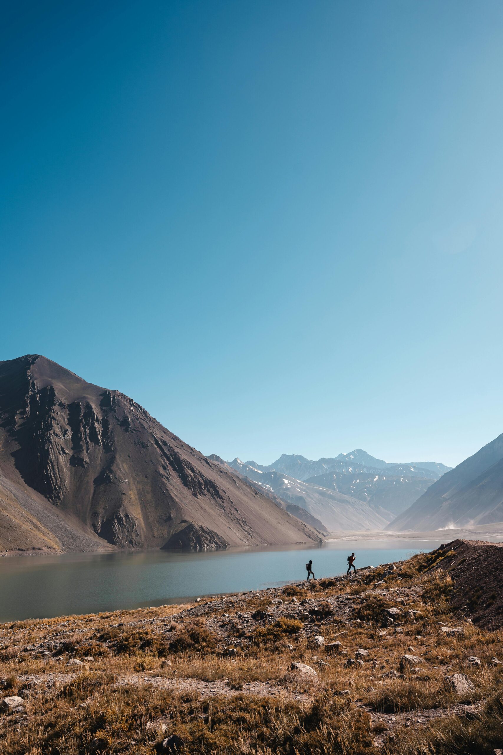 pexels-willianjusten-19821199