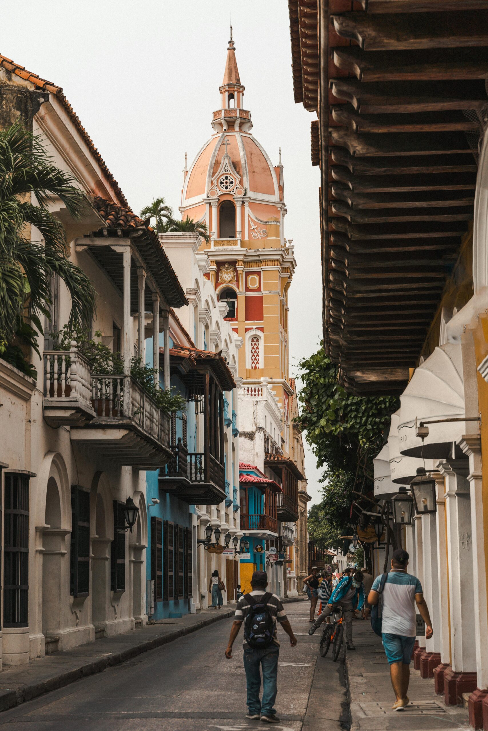 pexels-enrique-17745834